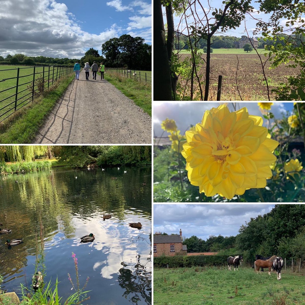 morethanarun tweet media