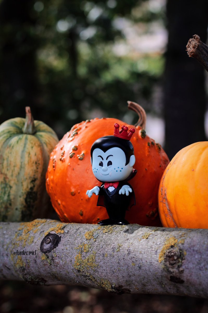 MeLumos's tweet photo. Oct 14 β’ Freaky Friday π§ββοΈ
Day 14 of 31 October #FunkoPhotoADayChallenge from @originalfunko β¨
#vampirefreddy #vampirefreddyfunkosoda #freddyfunkofriday #freddyfunko #freddyfunkosoda #funkosoda #FunkoFamily https://t.co/TRgomE9v1D