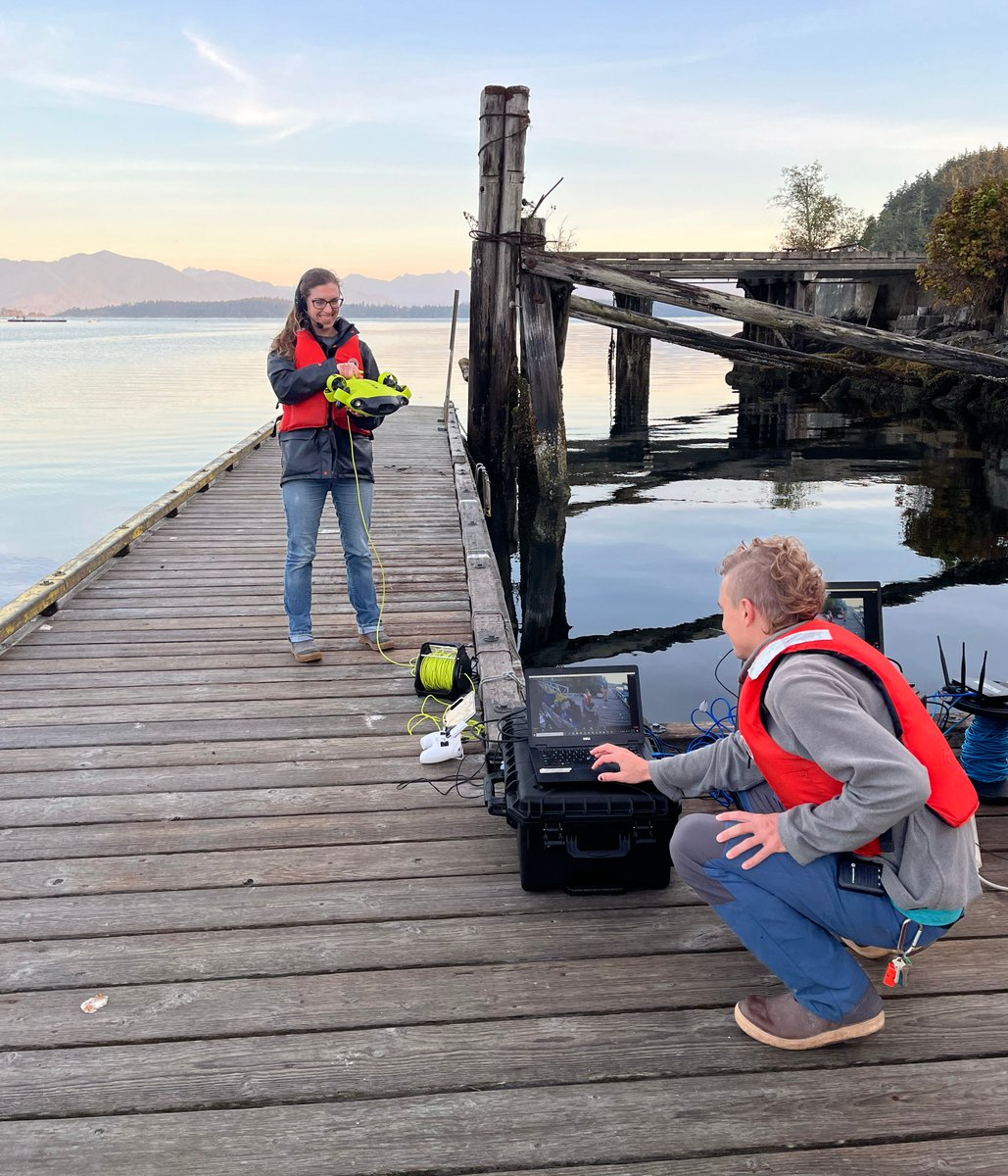 BamfieldMSC's tweet image. #BMSCLive is streaming to Netsilik School in Taloyoak, Nunavut, Canada today!