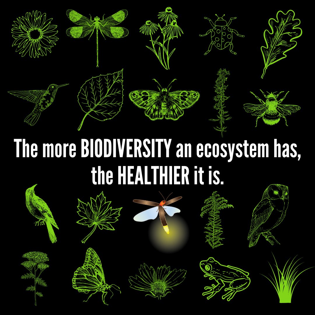 homegrownnationalpark tweet media