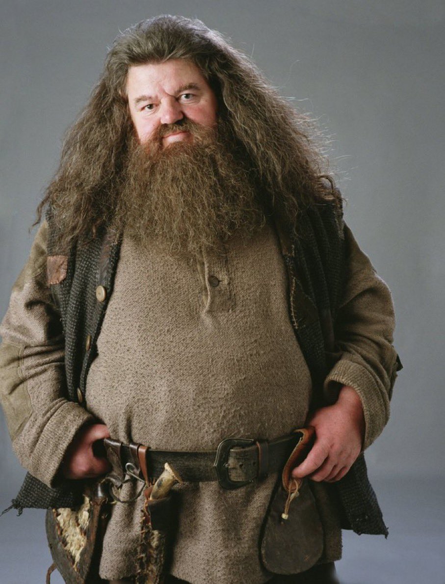 pusholder's tweet photo. Harry Potter serisinde canlandırdığı Rubeus Hagrid karakteriyle akıllara kazınan Robbie Coltrane, 72 yaşında hayatını kaybetti. https://t.co/vY4HMoxcEp
