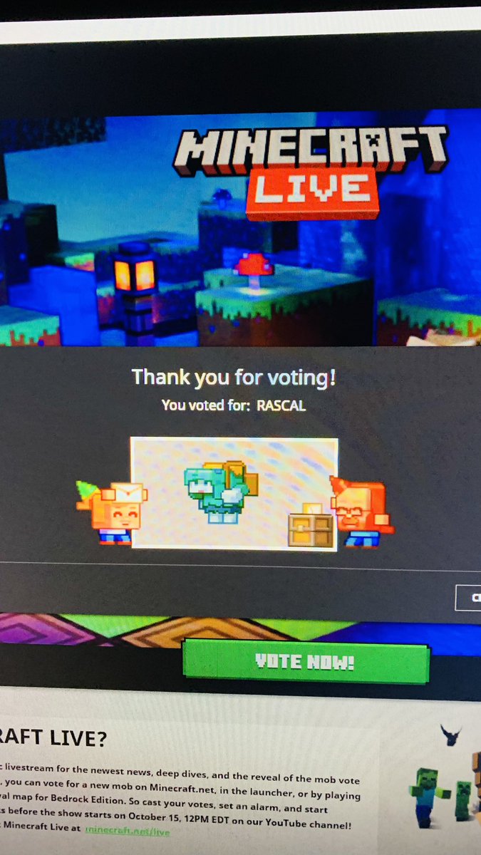 astonhmc's tweet photo. #voterascal VOTE RASCAL ❤️#MinecraftMobVote #MinecraftLive https://t.co/2QotM1RCoe