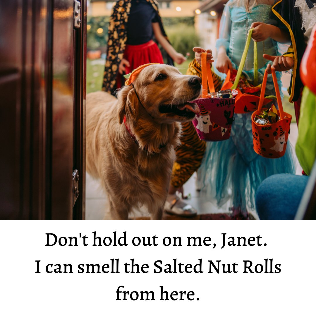 pearsonscandy's tweet image. Don't disappoint your trick-or-treaters this year, and get your Salted Nut Rolls ordered 👉 amzn.to/3UmCON0 
.
.
.
#SaltedNutRoll #ThisIsHowIRoll #EatOneDoMore #Halloween #HalloweenCandy #HalloweenMeme #FunnyAnimals #GoldenRetriever #DogsOfInstagram #DogLover