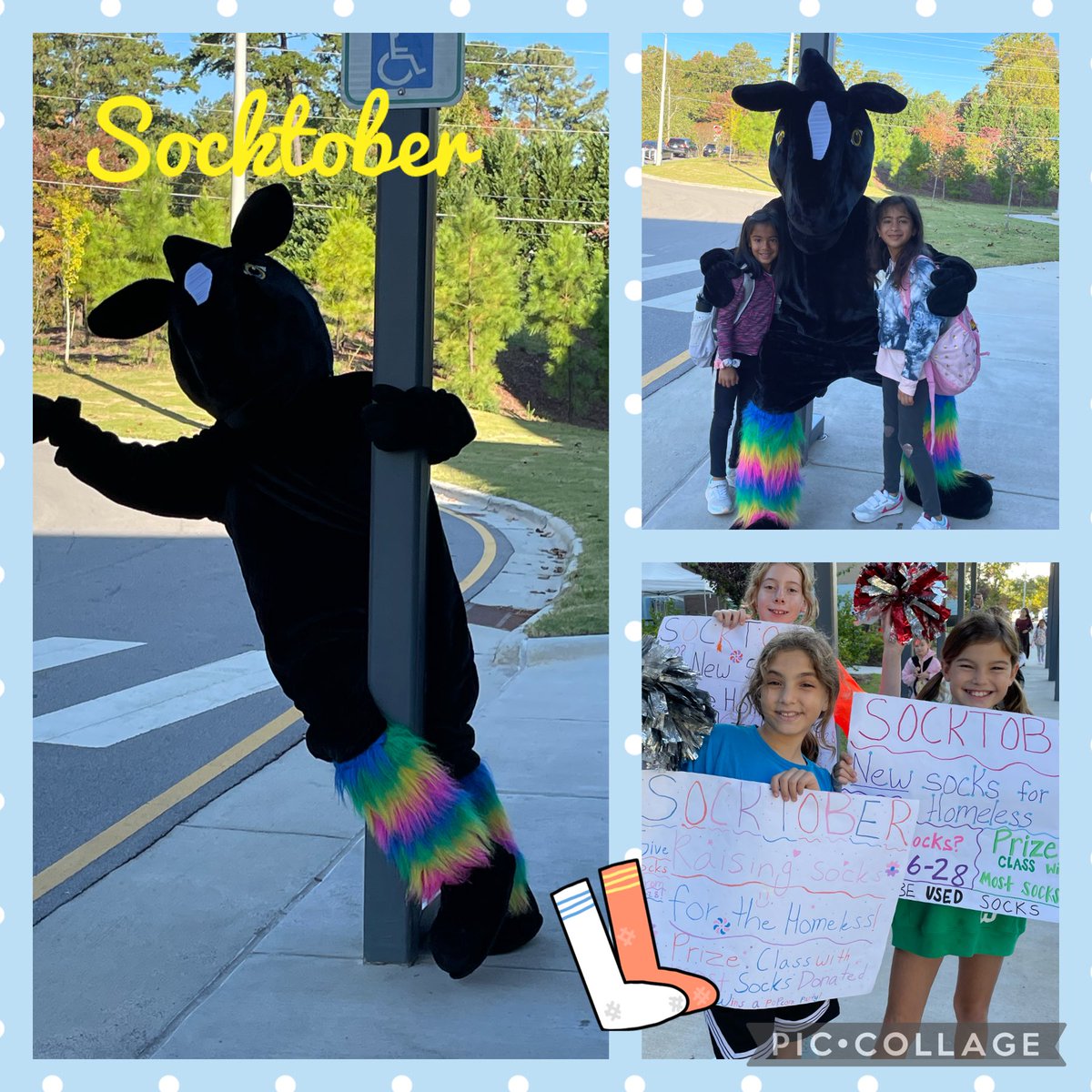 Help us collect packages of socks for our student council ⁦<a href="/StoughStallions/">Stough Magnet Elementary School</a>⁩ 🧦👋