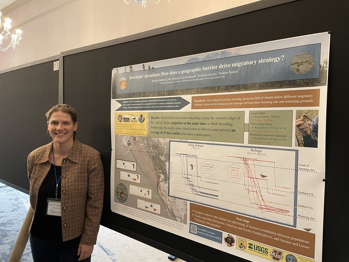 Spent the week at #AFO100 with the birds and the bird people! Many highlights, among them presentations about the #migration #connectivity of whip-poor-wills, Swainson’s Warblers and Whimbrel. Also, I presented my first poster since undergrad on #shortbilleddowitcher !