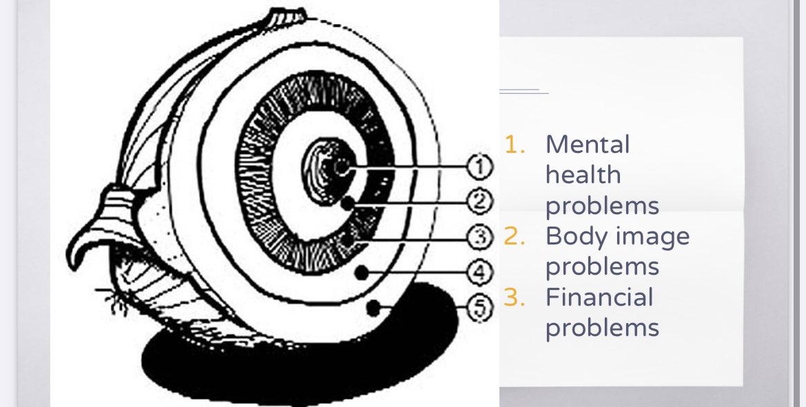 MsGallery723's tweet image. Who knew an onion could represent so many different things!? #StudentWorkSamples #Englishelective #VoicesoftheWorld #metaphors #culture