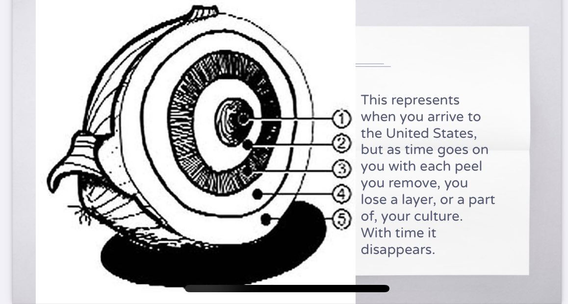MsGallery723's tweet image. Who knew an onion could represent so many different things!? #StudentWorkSamples #Englishelective #VoicesoftheWorld #metaphors #culture