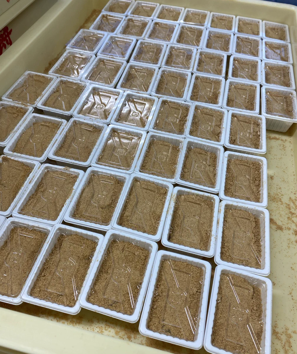 信玄餅の美味しい食べ方は！？特に無く、ただ食べづらいのは確からしいw