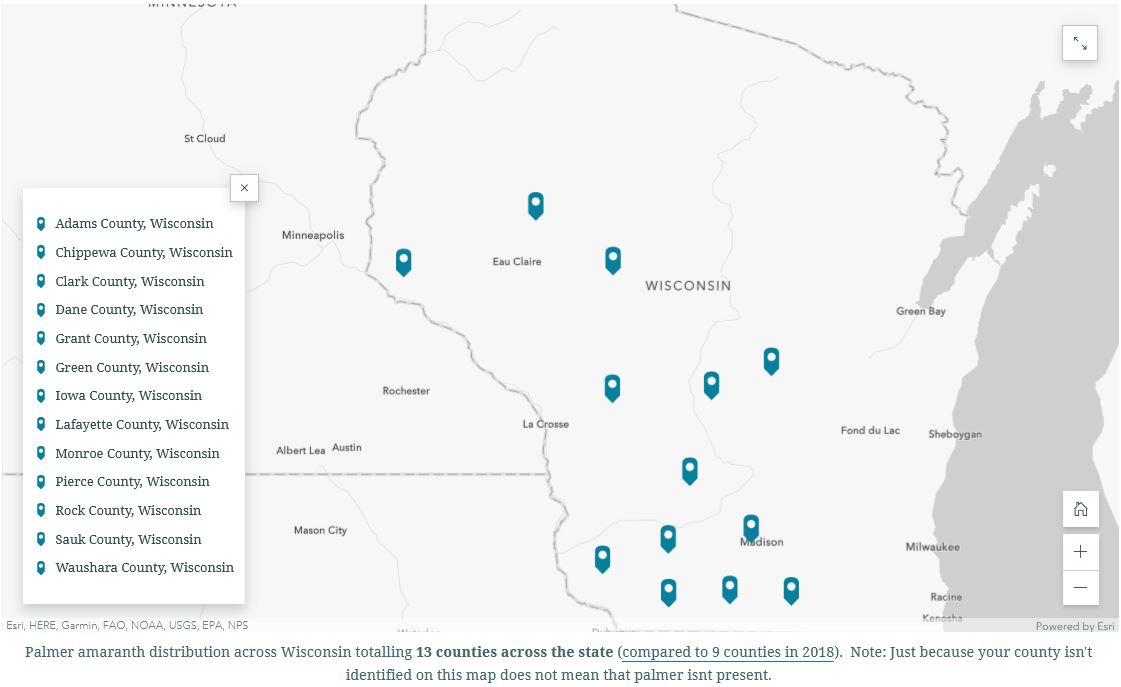Confirmed Palmer amaranth (Amaranthus palmeri) infestations in Wisconsin (updated map by @arnaman6):