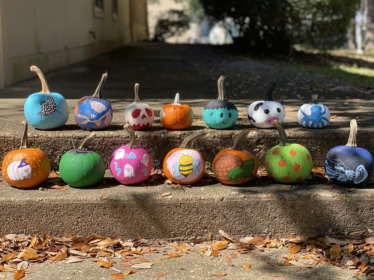 janosam's tweet photo. The annual Janosik/Bogantes Lab Pumpkin Painting party! 🎃 https://t.co/KZGNlIHHYR