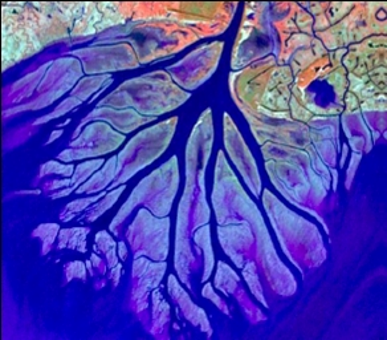 LSU_CCE's tweet photo. Closing out #EarthScienceWeek and #GeologicMapDay with this image of the Wax Lake Delta, which is located on the western part of the #MississippiRiver Delta.

Wax Lake Delta is one of the few places on the Louisiana coast where the delta continues to grow. https://t.co/MBXO3k06Tp