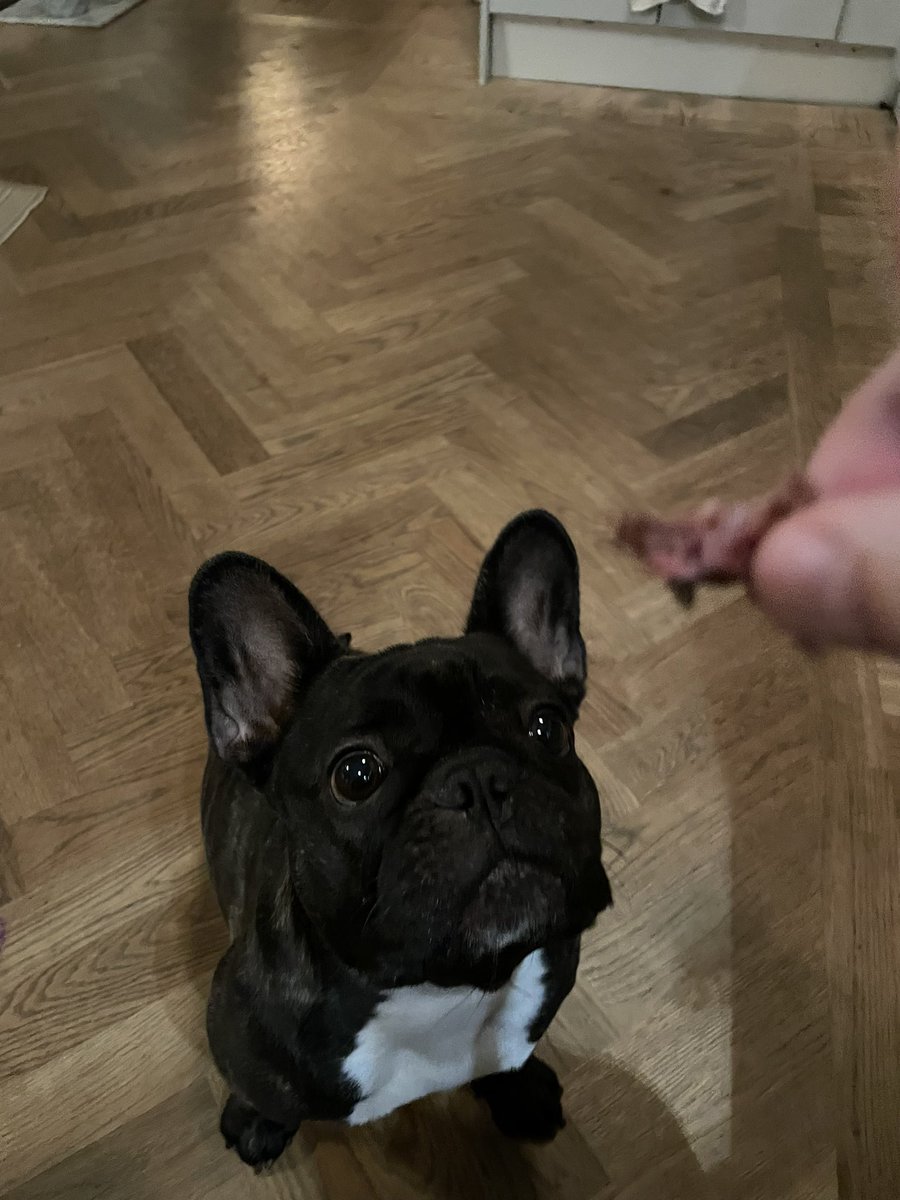 Anders Pettersson tweet media