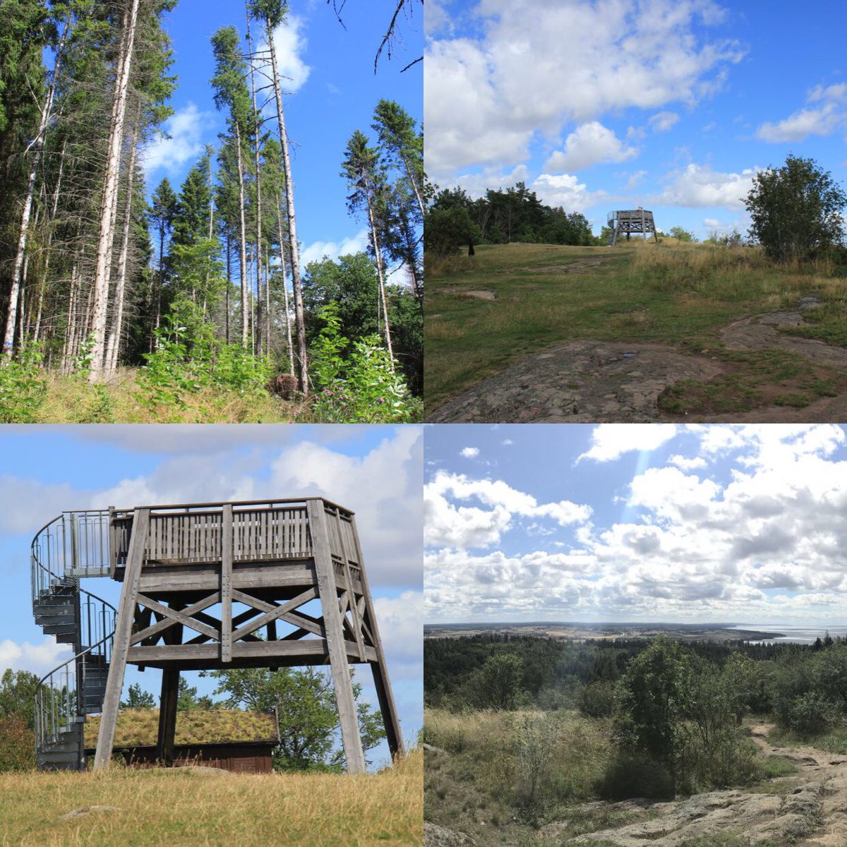 zwedenblog's tweet photo. Ekopark Omberg Hjässan: https://t.co/gGmbSh2TPS #zweden #ekoparkomberg #omberg #hjassan https://t.co/XXw4iHOq00