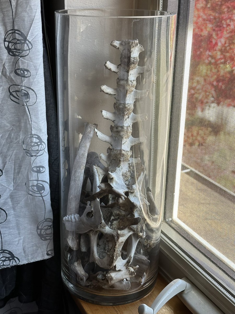 Bonez on displayyyyy