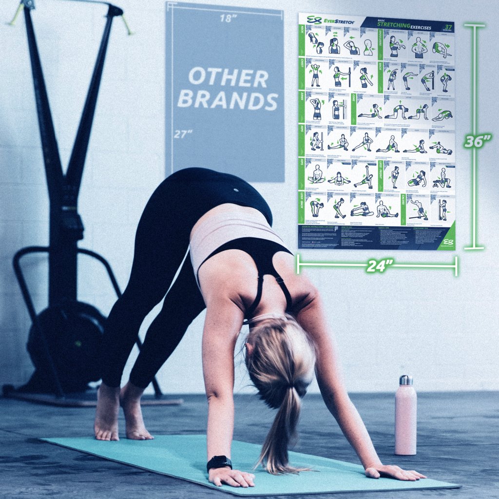 everstretch's tweet photo. Get your own EverStretch Stretching Poster!

#stretching #fitness #yoga #flexibility #stretch #workout #flexible #pilates #training #gym #dance #mobility #sport #fitnessmotivation #fit #motivation #gymnastics #health #stretchingexercises #yogapractice #exercise #balance #dancer https://t.co/rOzDMFeCpZ