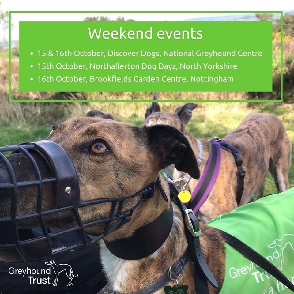 The weekend is just around the corner 👀 Come and say hello to Greyhound Trust volunteers at these events ⬇️