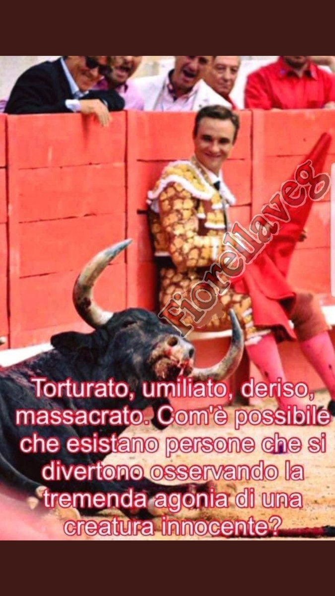 Emilystellaemi2's tweet photo. MALEDETTI RIDONO https://t.co/elZhcvIr8z