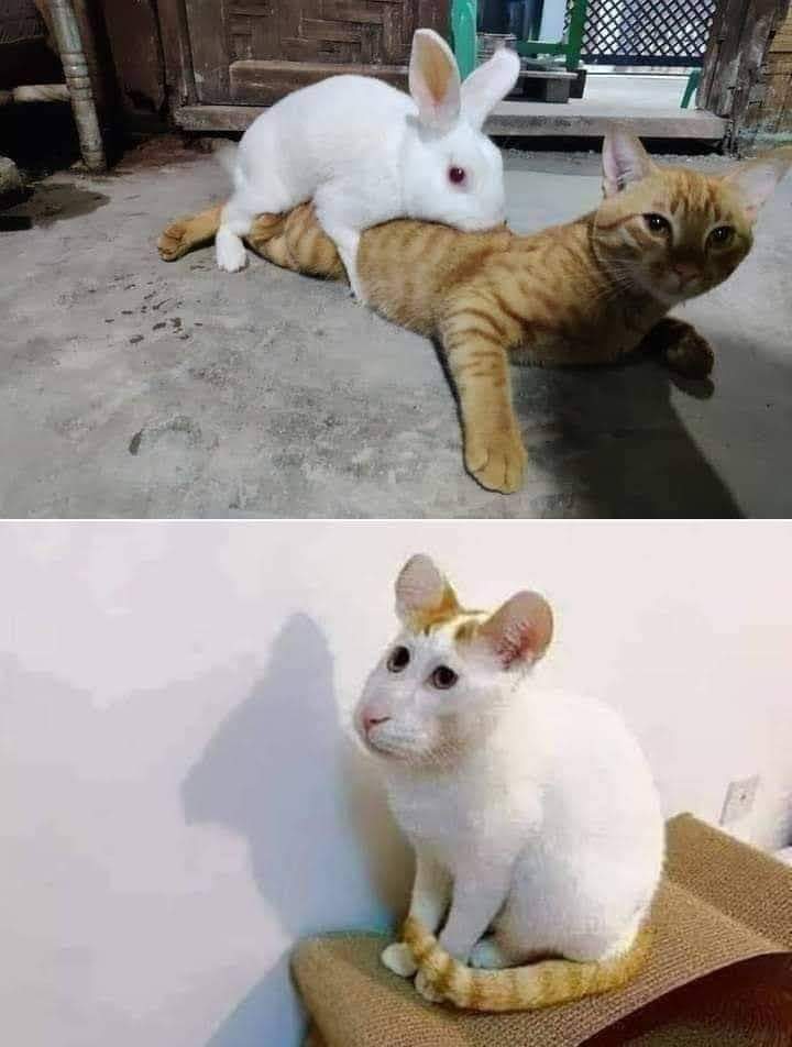 Vorsicht bei der Partnerwahl.😂😂😂