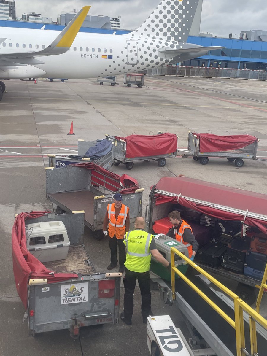 Aletha Leidelmeijer tweet media