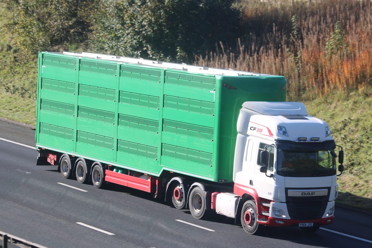 A range of Platinum and Professional Livestock Transporters spotted on the #M6.

📷by Thomas Salkeld

#houghtonparkhouse #platinum #professional #livestock #livestocktrailer #livestocktransport #livestockhaulage