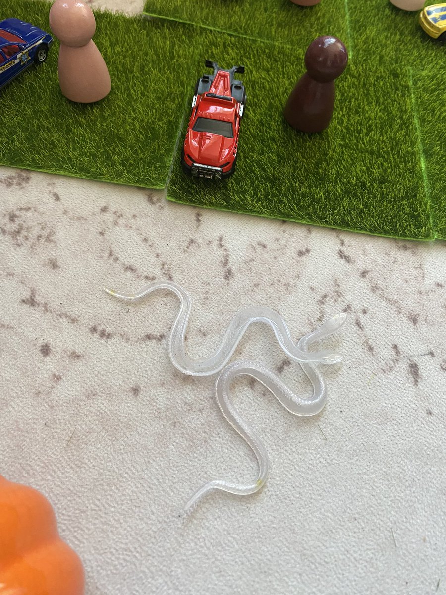 agnesplaypilot's tweet photo. "We made a spider and slug land. There's a spider web hanging from the cave so the spider has a place to be.The slugs like to play in my hand.There are invisible snakes here. Have you never seen one?I've seen thousands in this land." #playhall #playfullearning @HolyTrinitySD https://t.co/7KJSwJpkPv