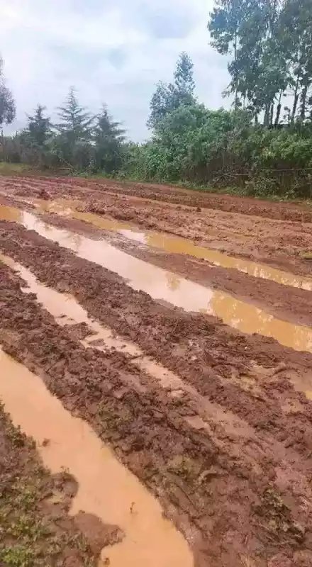 ፍትህ ለጉራጌ ህግ ይከበር# ሪፈረንደም ህዝብ ውሳኔ ይደረግ እኛው በኛ ክልላችን እናልማ ፍትህ ፍትህ##Justice for the people gurage##