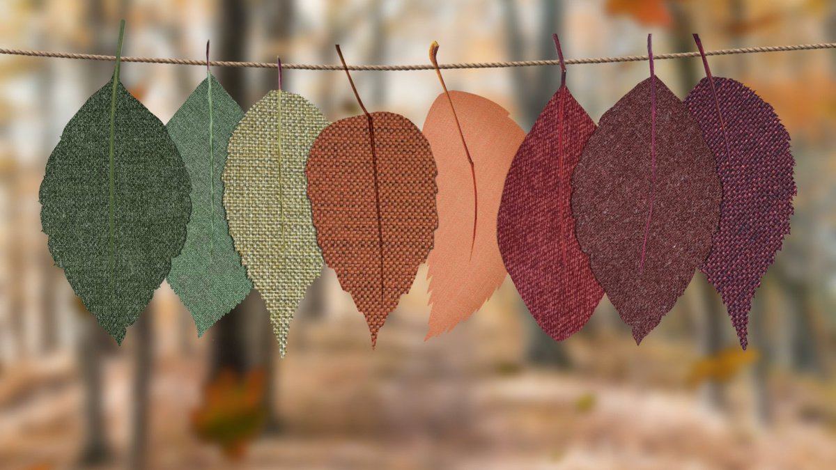 Esta época es perfecta para una salida al campo. Recoge hojas secas, ordénalas según el diseño que tengan, y luego, en casa, puedes montar cuadros, hacer recortes con materiales o collages con tu peque. ¡Deja volar tu imaginación! #otoño #DIY"