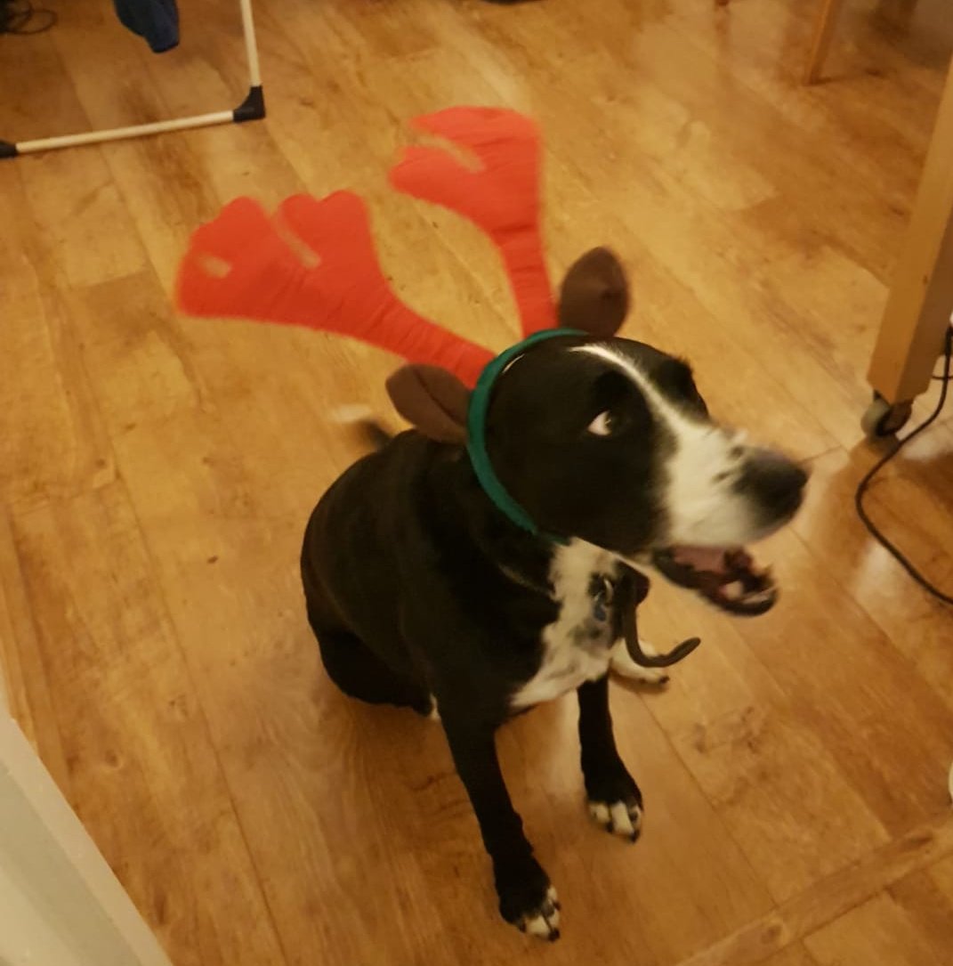 Matthew (he/him) ❤️ tweet media