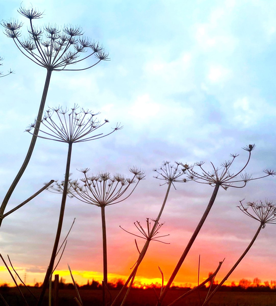 Emma Mitchell 💙 tweet media