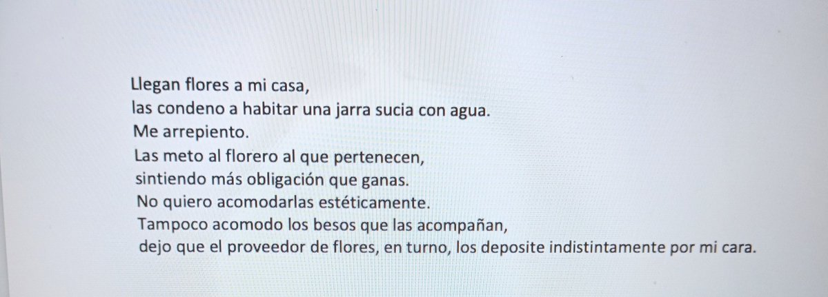 Chakmooool's tweet photo. Me regalan flores que no se sienten como mías. https://t.co/9vGB2hsXlG