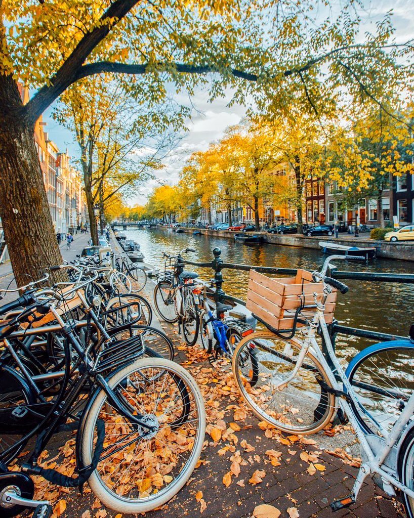 KvanOosterom's tweet photo. #Netherlands  is trending in twitter. Why? Just some great autumn pictures making me homesick. https://t.co/PYKBYSOsnQ