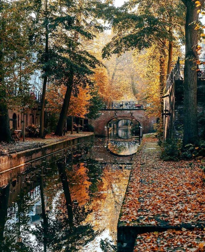 KvanOosterom's tweet photo. #Netherlands  is trending in twitter. Why? Just some great autumn pictures making me homesick. https://t.co/PYKBYSOsnQ