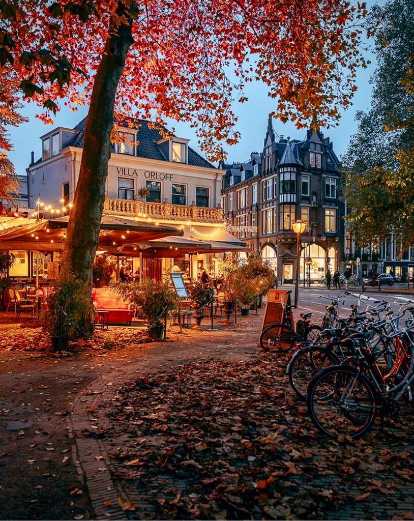 KvanOosterom's tweet photo. #Netherlands  is trending in twitter. Why? Just some great autumn pictures making me homesick. https://t.co/PYKBYSOsnQ