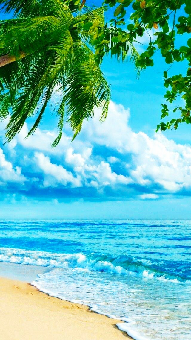 Quien ama realmente se compromete a luchar por eso que siente y por quién lo siente aunque muchas veces tenga que sufrir,
éso explica porqué no todos saben amar.
                       🦋