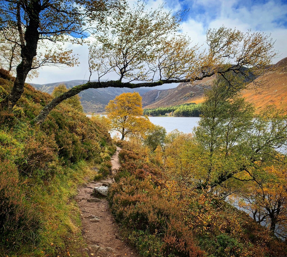 Balmoral_Castle's tweet photo. Autum colours at Loch Muick today. https://t.co/9gaZz6YwUd