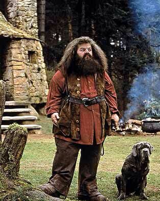 So very sad to hear that Robbie Coltrane has passed.

From Fitz in Cracker to Hagrid in Harry Potter and even a few appearances in The Young Ones, Robbie was an outstanding actor and will be sorely missed.

RIP Robbie 💔
