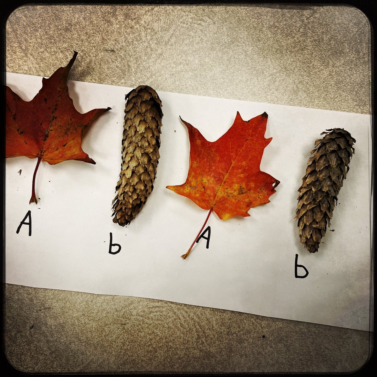 Shauna Read tweet media