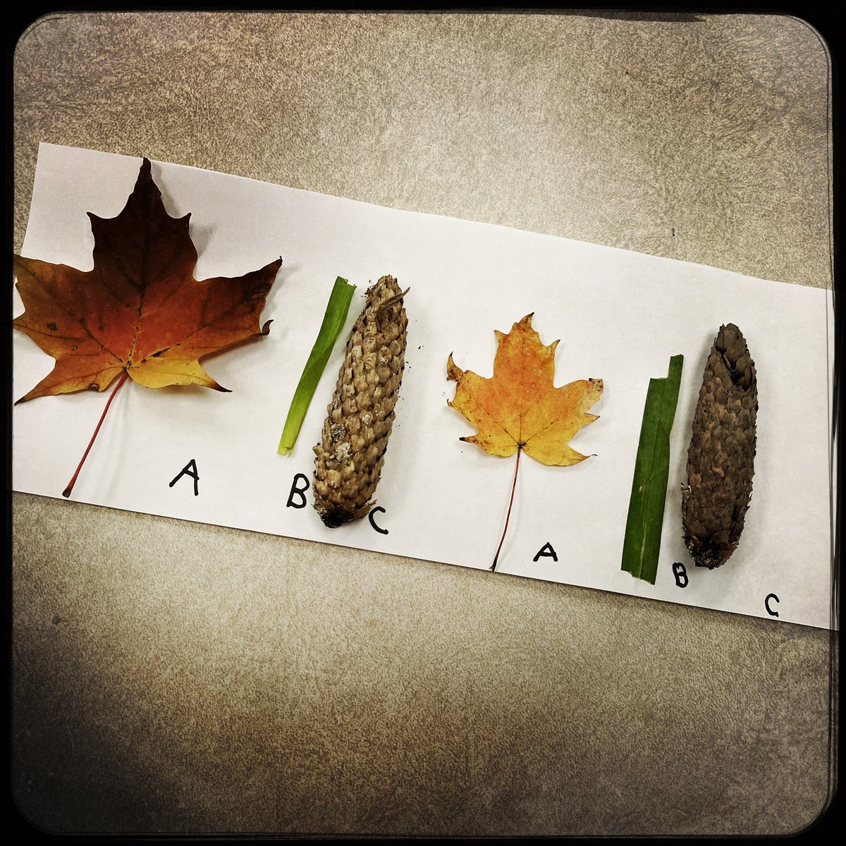 Shauna Read tweet media