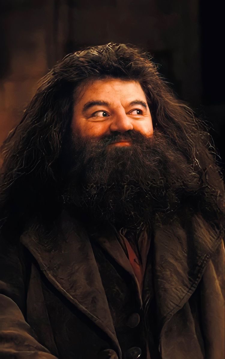 infoutkarsh's tweet photo. Hagrid To me, the soul of the Harry Potter stories.
#HarryPotter
#RIP https://t.co/RXm9txuNW3