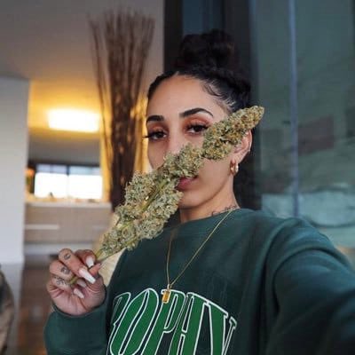 ifly_highest's tweet photo. Hello Friday💚
.
.
I’m the new face of the industry 🔥
#drugart #asia #acrylicpaint #mule #suramerica #lineartwork #stickermule #lsdart #dontpanicitsorganic #terpalicious #headstah #cannabiscultivation #medicine #medication #notforcash #postivevibes #growyourown #seeds #terpenes https://t.co/Ig9Xmg0LwS