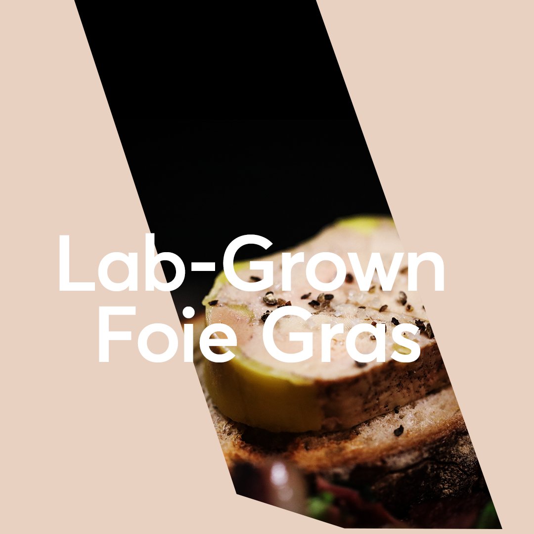 tbwabackslash's tweet photo. Of all the inhumane foods out there, foie gras is near the top of the list.

Gourmey recently banked $48 million to bring lab-grown foie gras into the mainstream.

Lab-grown meat has the potential to unlock a more sustainable, animal-friendly future of food. https://t.co/pEuq258Qqd