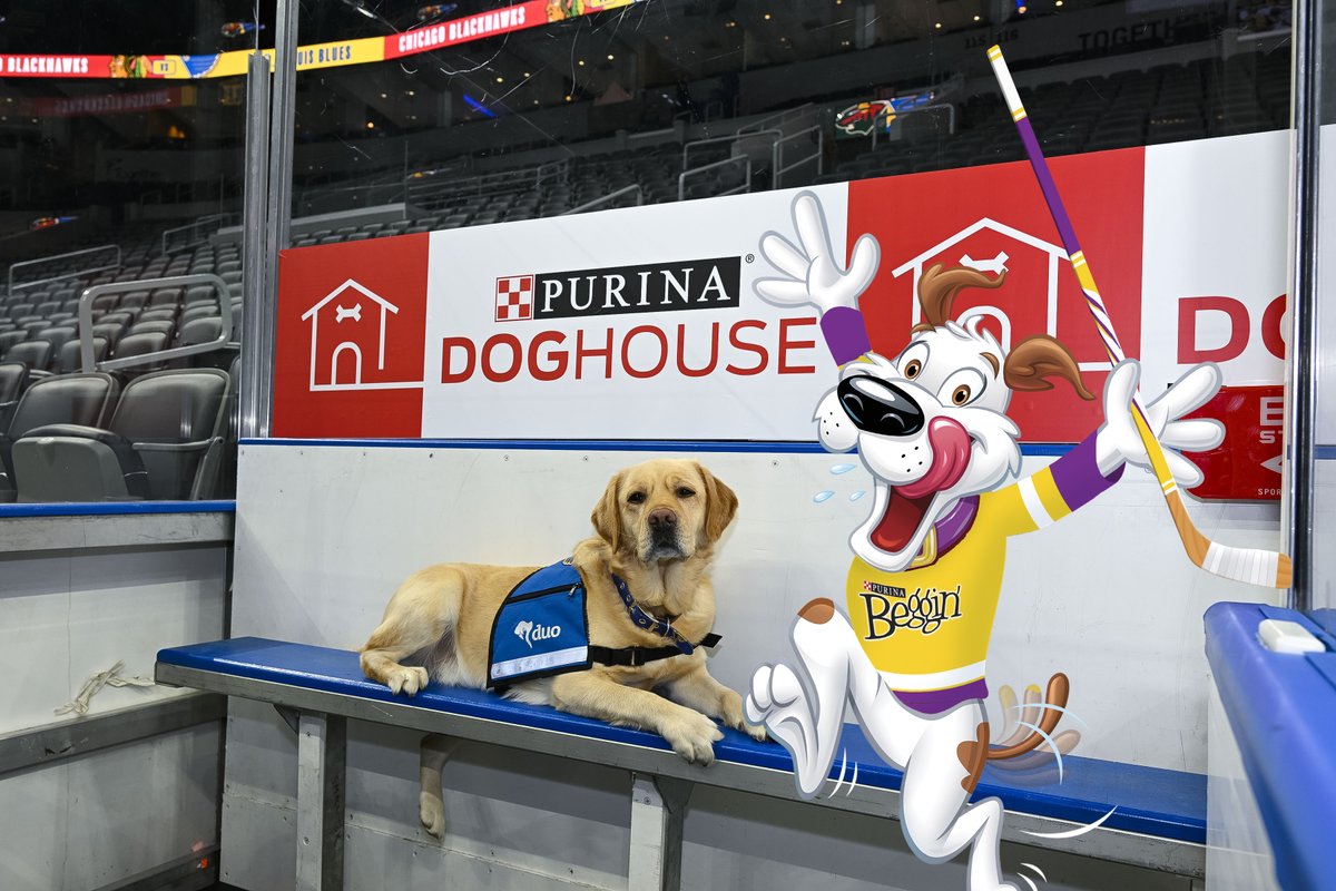 Hamlet is going bonkers for the new #PurinaDoghouse at <a href="/Enterprise_Cntr/">Enterprise Center</a>! When opponents take a penalty and visit the Doghouse, <a href="/Purina/">Purina</a> will donate $100 to a local service and support dog training organization like @duodogsinc! Watch the @stlouisblues home opener tomorrow!