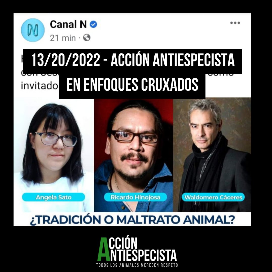 veganaenlima's tweet photo. Ayer en #EnfoquesCruxados hablando sobre las corridas de toros y el #especismo. Que algo sea tradición o de trabajos no lo hace ético. Además,  a lo largo de la historia hemos evolucionado y dejado atrás trabajos, explotaciones y opresiones. @AntiespecistaPE https://t.co/K69o6XyXwn