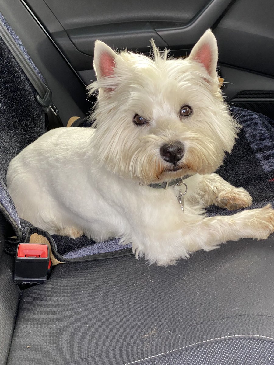 Helen Chambers tweet media