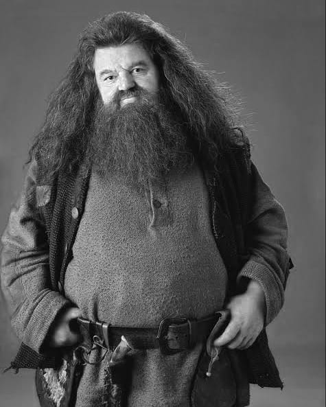 paseblanco's tweet photo. El actor escocés, #RobbieColtrane, conocido por interpretar al entrañable gigante #Hagrid en la saga #HarryPotter, falleció hoy a los 72 años 🕊️.

Su agente Belinda Wright confirmó que falleció en un hospital cerca de Falkirk, Escocia. 

#PaseBlanco #actor #QEPD #loúltimo #cine https://t.co/zGhkD9bKtU