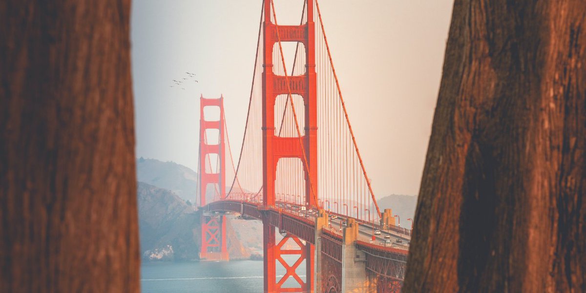 HandlerySF's tweet photo. San Francisco love in the fallππ
Take in the beauty of this city painted in earthy fall colors on foot. Try free walking tours or map your own route.
#handlerysf #sanfrancisco #handleryunionsquarehotel #directbook #fall #walks #nature #colors #october https://t.co/3kPlvPQX09