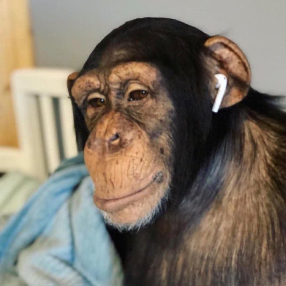 Janahi_'s tweet image. #عبدالمجيد_عبدالله_في_البحرين

طلعي من حفلة مجيد لا اكسر المكروفونات على راسج