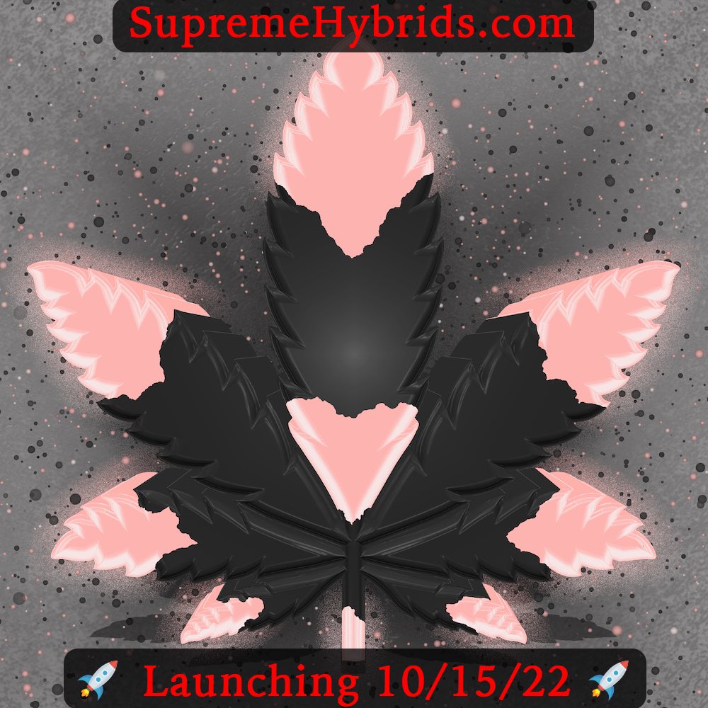 1️⃣ more day and we launch 🚀

Join us for all the great utilities and benefits. 💯 Plain Black and Pink. 😍

-

#NFT #NFTs #NFTart #nftcommunity #NFTcollector #NFTcollectors #NFTdrop