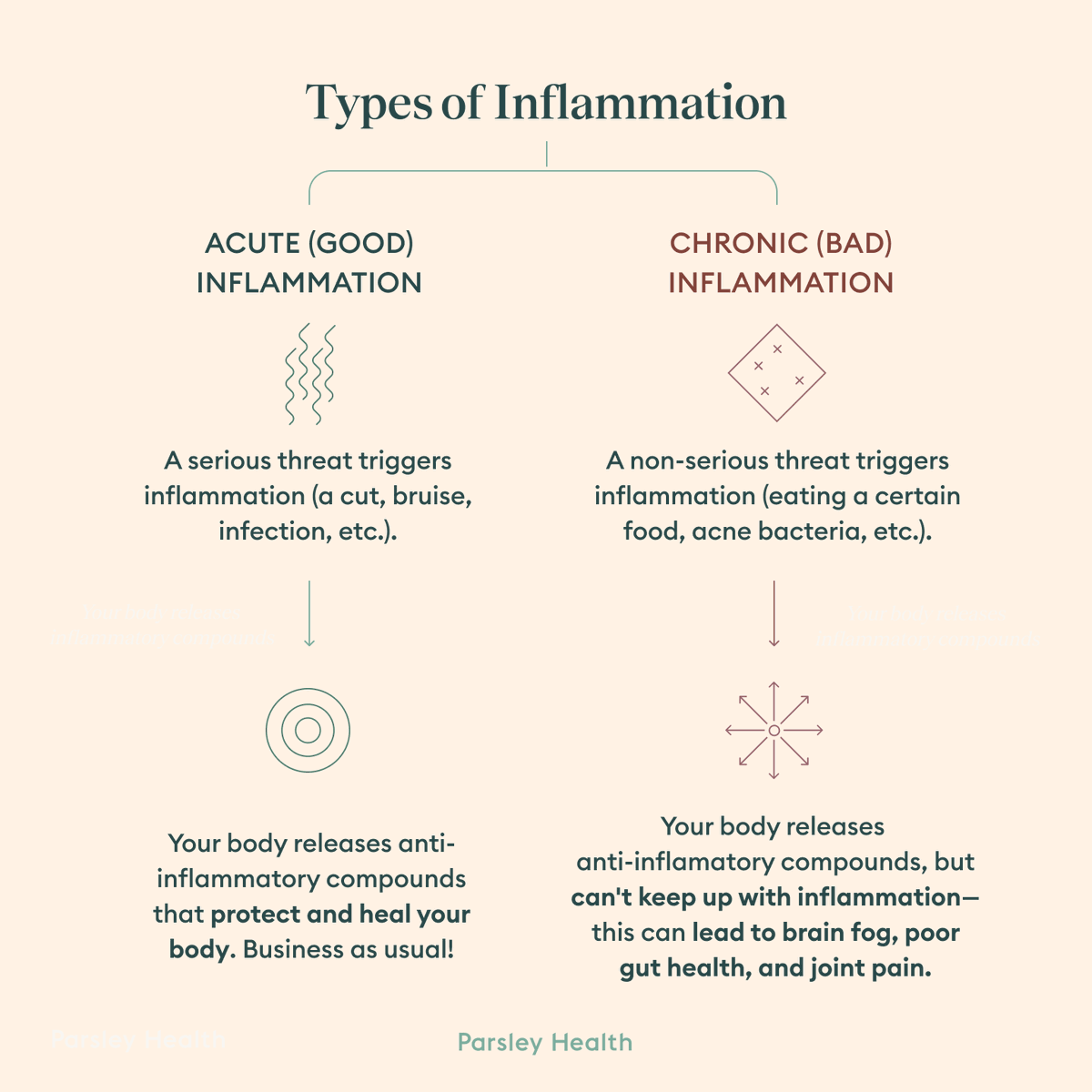 parsley_health's tweet photo. Inflammation isn’t necessarily bad for you. Acute inflammation is your body’s natural reaction to injury and infection. Chronic inflammation can lead to autoimmune illnesses like rheumatoid arthritis and poor gut health. Click for more: https://t.co/32FVR3aXMt https://t.co/OzSQiamN9q