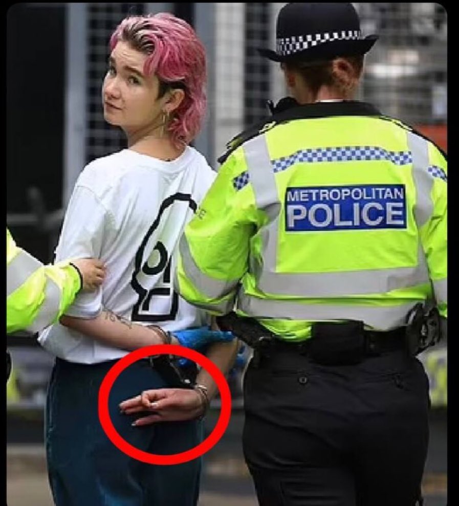 Adam lomas tweet media